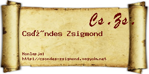 Csöndes Zsigmond névjegykártya